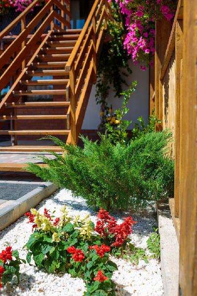 Cazare in Oradea - CASA PAVEIOS - Oradea Cazare in Oradea - CASA PAVEIOS - Oradea