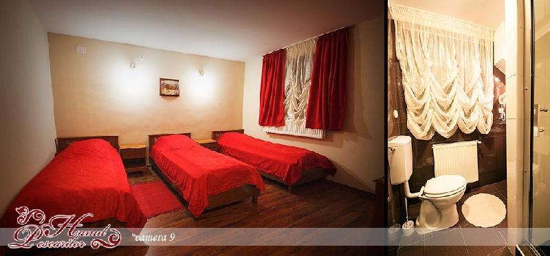 Cazare in Oradea - Hanul Pescarilor - Oradea