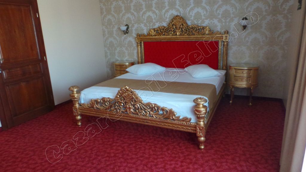 Cazare in Oradea - CASA ANTIC - Sanmartin