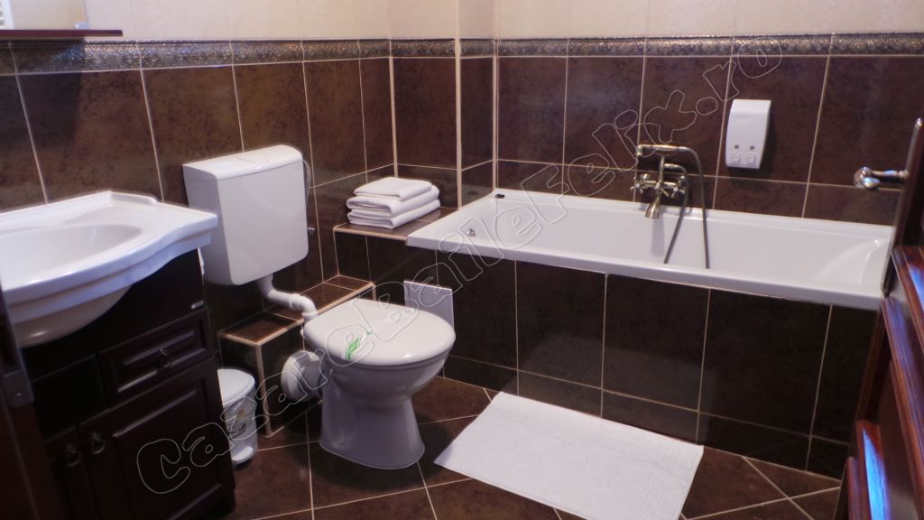 Cazare in Oradea - CASA ANTIC - Sanmartin