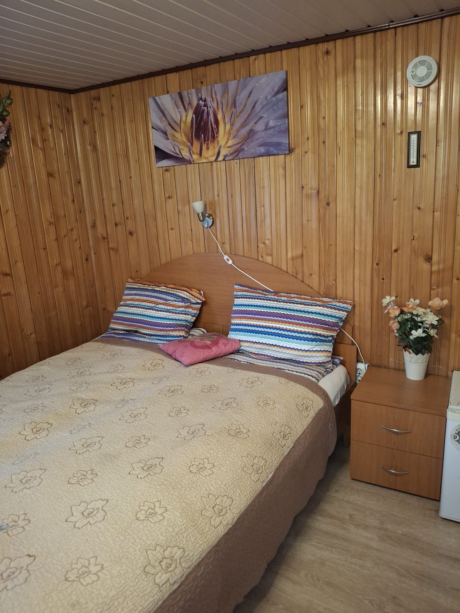 Cazare in Oradea - PENSIUNE  CASA MOV - Oradea