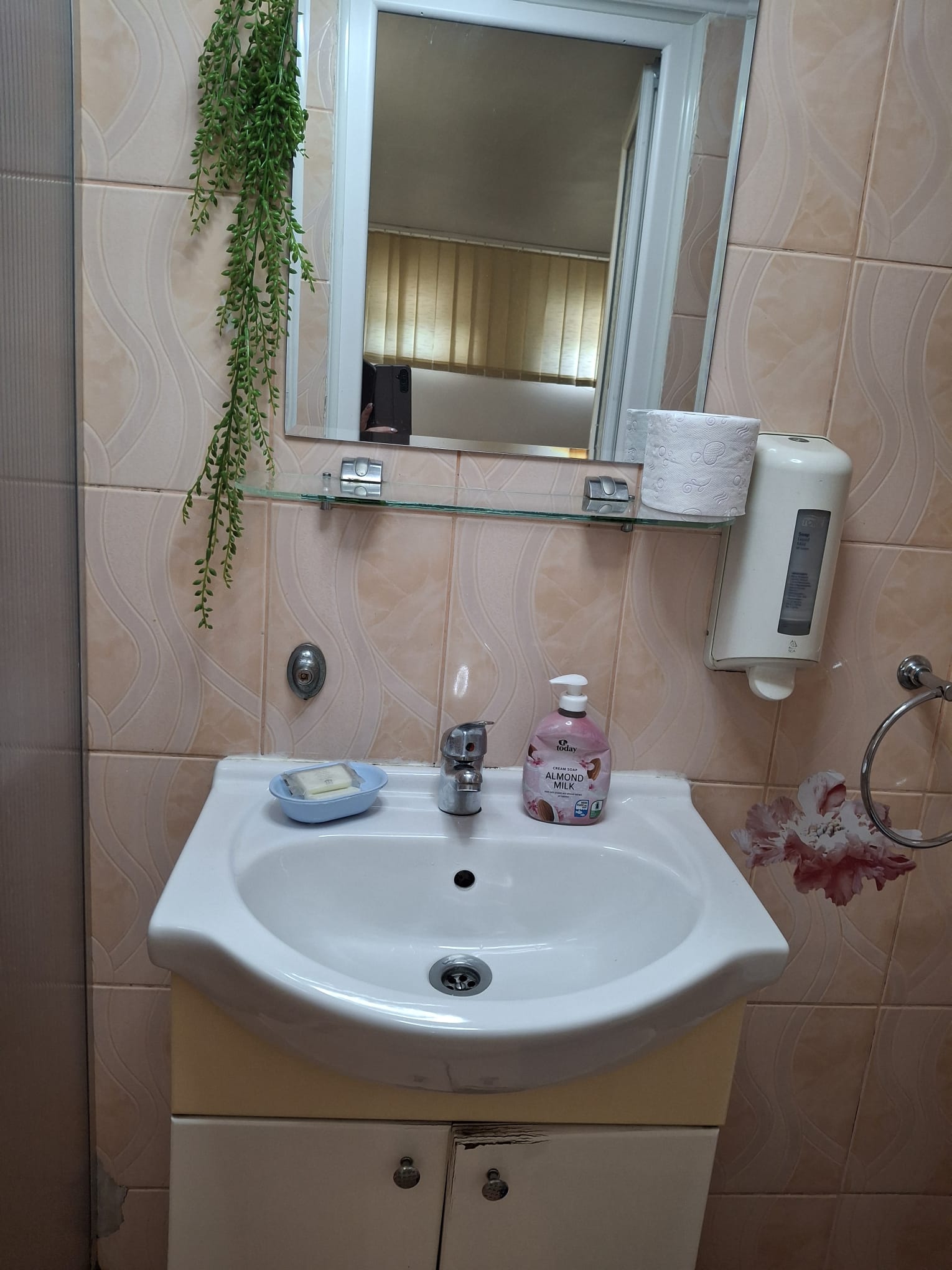 Cazare in Oradea - PENSIUNE  CASA MOV - Oradea