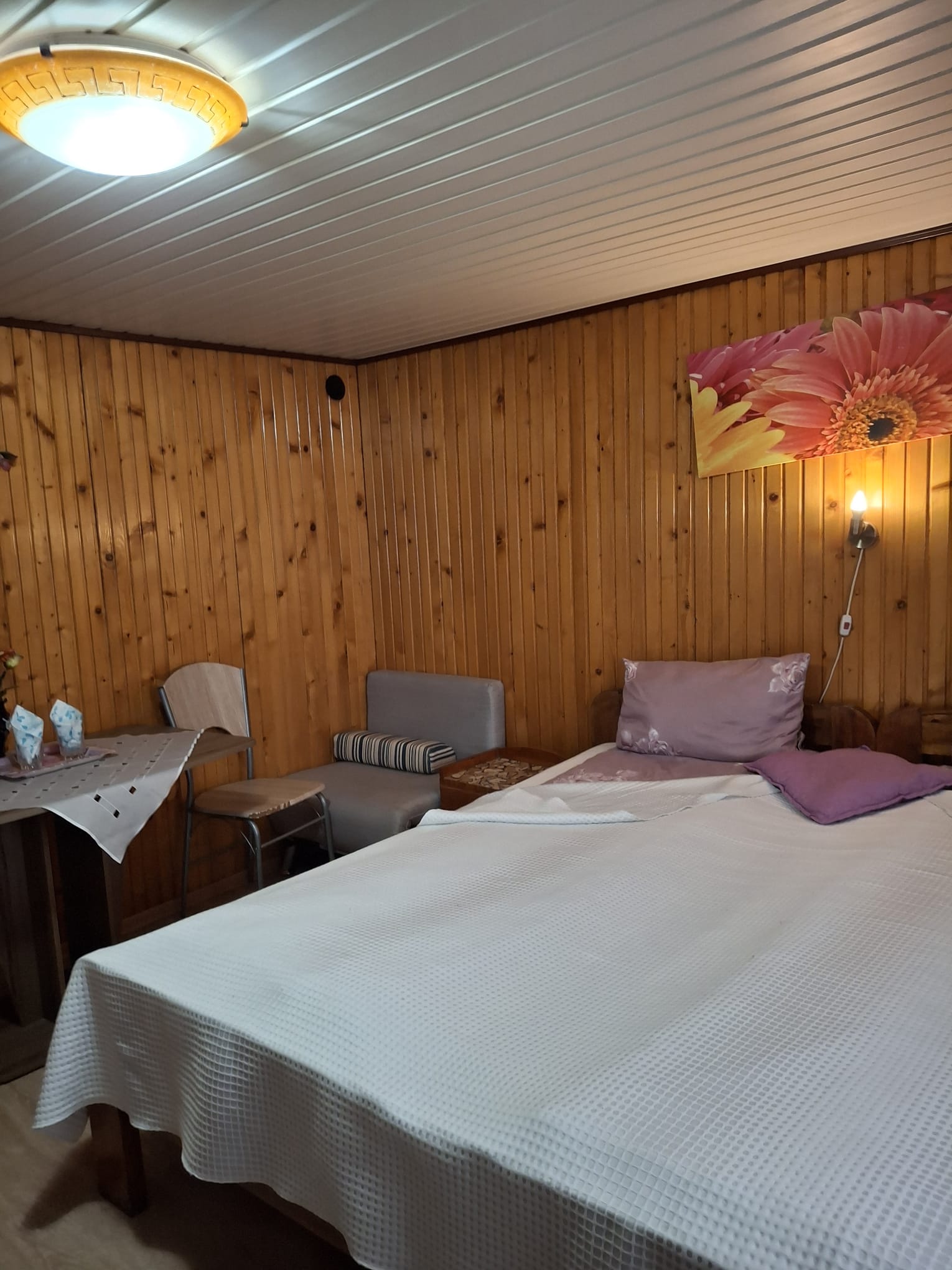 Cazare in Oradea - PENSIUNE  CASA MOV - Oradea