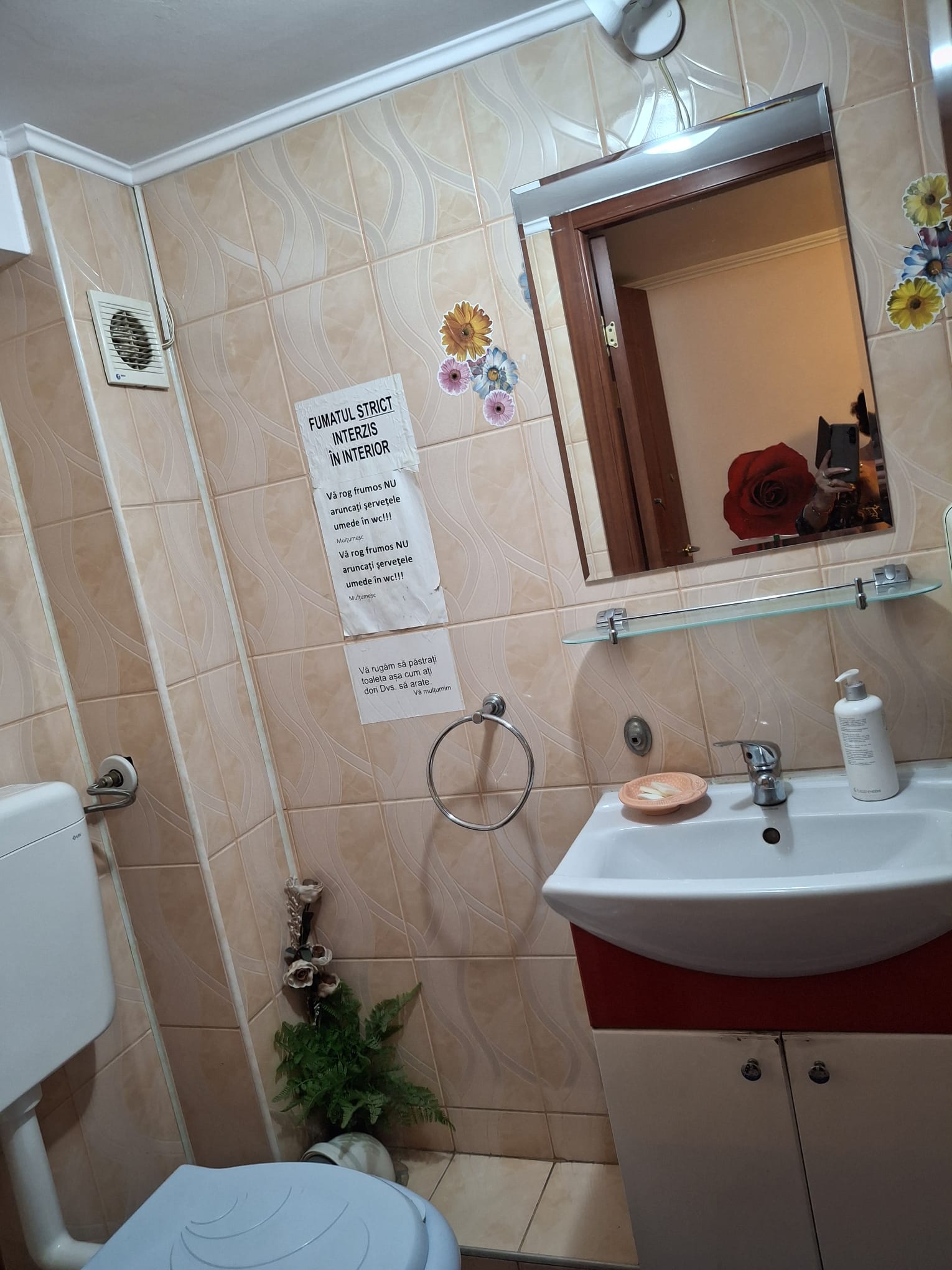 Cazare in Oradea - PENSIUNE  CASA MOV - Oradea